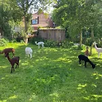 Inselhuuske I I Apartamento Baltrum