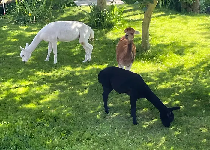 Inselhuuske I I Apartment *